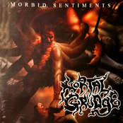 Morbid Sentiments