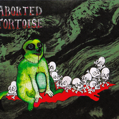 Aborted Tortoise