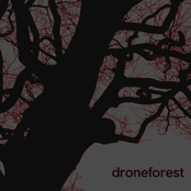 drone forest