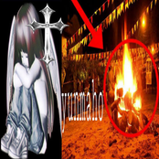 meu cavalo é forte hoodtrap