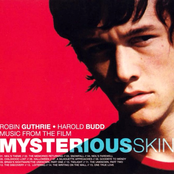 Mysrerious Skin