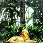 Kai-Jo BROTHERS - Born To Be Free