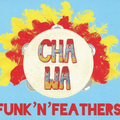 Cha Wa: Funk 'n' Feathers