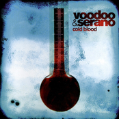 Particular Beach by Voodoo & Serano