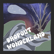 Dropout Wonderland