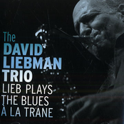 the david liebman trio