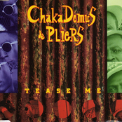 Bam Bam by Chaka Demus & Pliers