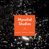 Mycelial Studies