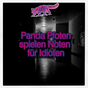 Panda Pfoten spielen Noten für Idioten