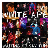 Suit Yourself by White Ape