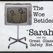Sarah and the Great Glass Safety Net