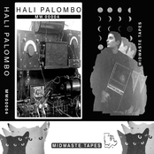 Hali Palombo