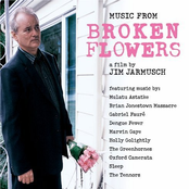 Broken Flowers: Music from the Film