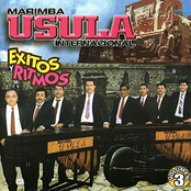 Exitos y Ritmos Vol. 3