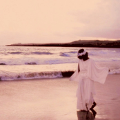 トロピカルの夢