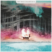 Lost Trees: Hallucinate II