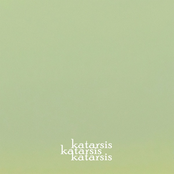 Pamiršau žiūrėt į paukščius