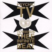 Stick Insect by Psychic Tv