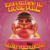 Happiness In Liquid Form - Single