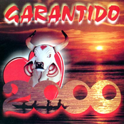 Garantido 2000