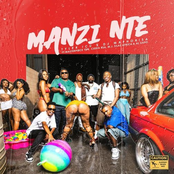 Manzi Nte (feat. Masterpiece YVK, Ceeka RSA, M.J, Silas Africa & Al Xapo) - Single