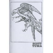 Peeper / Love Songs Loud & Lonely