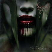 Carnal Tapestries of Nailtorn Flesh