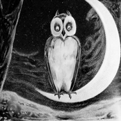 The Midnighters Vol. I