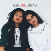 ward & sahraei