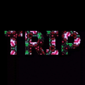 Trip