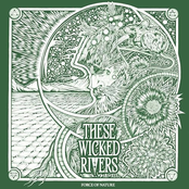 Force of Nature (single)