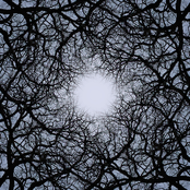 Cementerio de gigantes