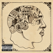 The Roots: Phrenology