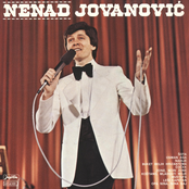 nenad jovanovic