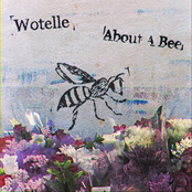 About a Bee (single)