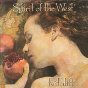 Bone Of Contention by Spirit Of The West