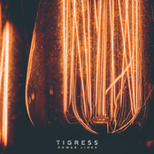 Tigress: Power Lines