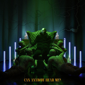 Can Anybody Hear Me?