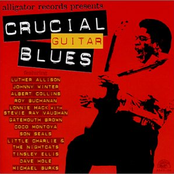 Alligator Records Presents Crucial Guitar Blues
