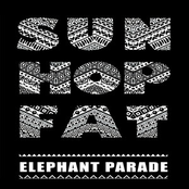 Sun Hop Fat: Elephant Parade