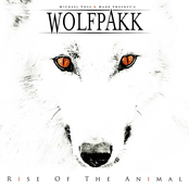 Rise Of The Animal