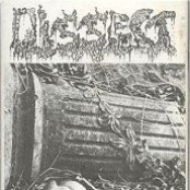 Presage To The Eternity