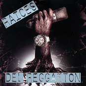 Raices del reggaeton