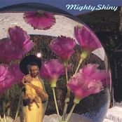 Tape Of Birds by Mighty Shiny