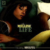 The Mellow Life
