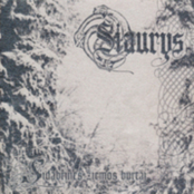 Sidabrines Ziemos Burtai