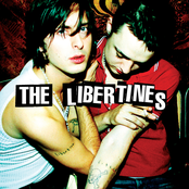 The Libertines: The Libertines