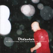 Many Visitors Have Been Gored By Buffalo