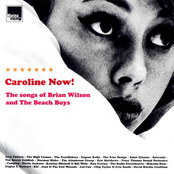 Caroline Now! (The Songs Of Brian Wilson And The Beach Boys)