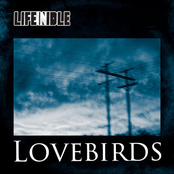 Life In Idle: Lovebirds
